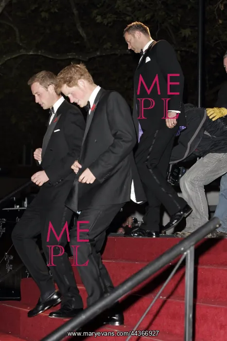 : Prince William and Prince Harry : Prince William and Prince Harry