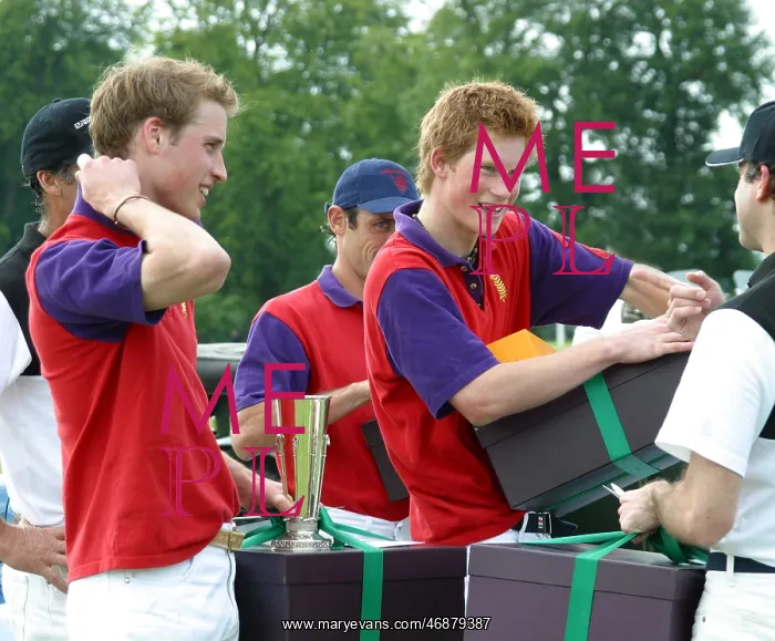  : Prince William and Prince Harry