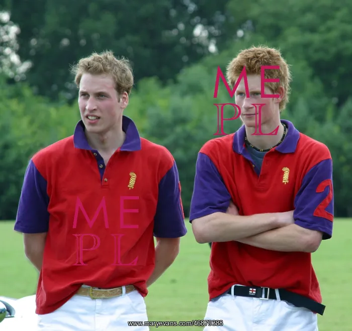  : Prince William and Prince Harry