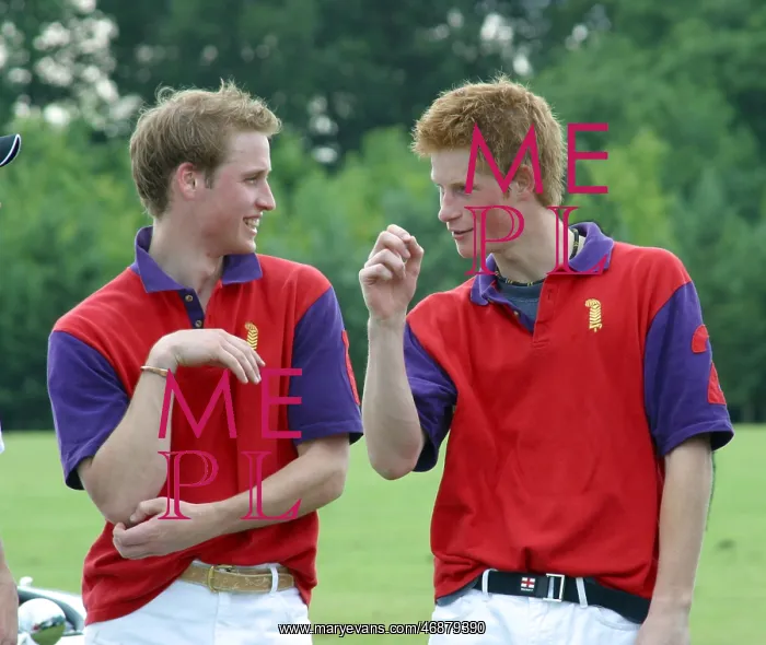  : Prince William and Prince Harry