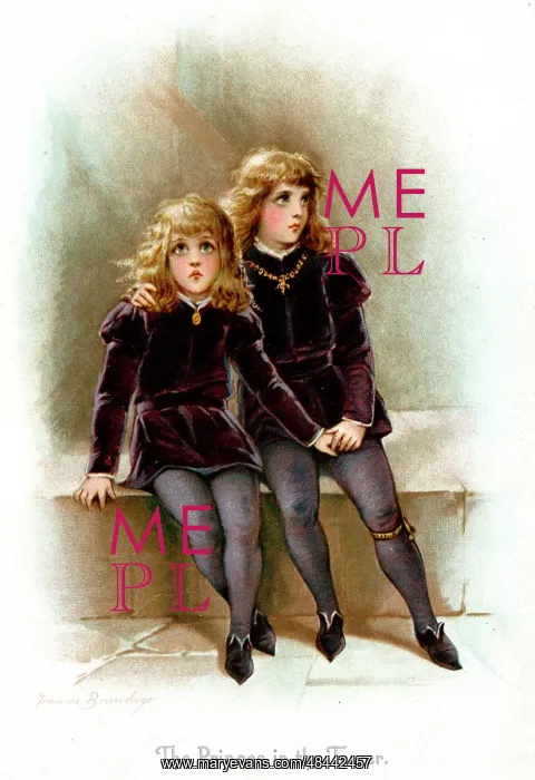 : The Princes in the Tower : The Princes in the Tower