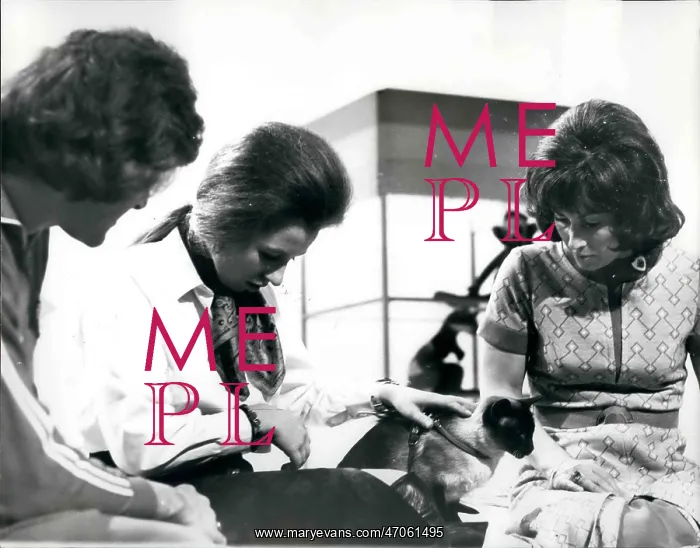 : Princess Anne appears on BBC Blue Peter programme : Princess Anne appears on BBC Blue Peter programme