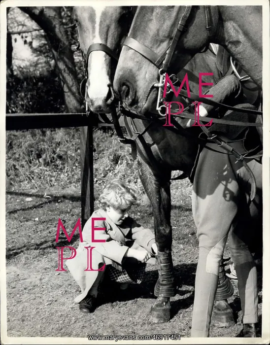 : Princess Anne with polo ponies, Windsor : Princess Anne with polo ponies, Windsor