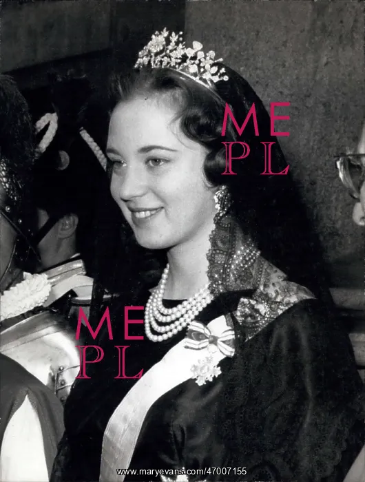 : Princess Benedikte of Denmark visiting Pope Paul VI : Princess Benedikte of Denmark visiting Pope Paul VI