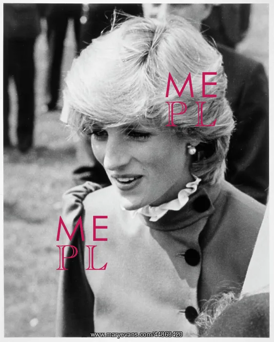 : PRINCESS DIANA : PRINCESS DIANA