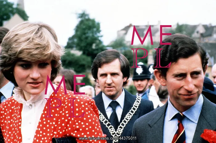 : Princess Diana & Prince Charles : Princess Diana & Prince Charles