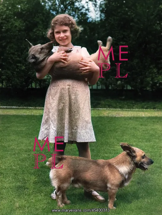 : Princess Elizabeth and corgis : Princess Elizabeth and corgis