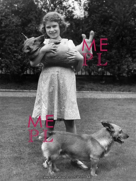 : Princess Elizabeth of York with her corgis Jane and Dookie : Princess Elizabeth of York with her corgis Jane and Dookie