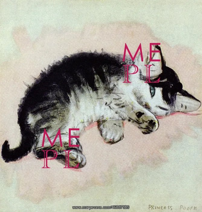 : Princess, a kitten, by Muriel Dawson : Princess, a kitten, by Muriel Dawson