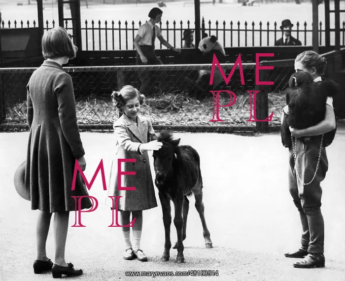 : Princess Margaret : Princess Margaret