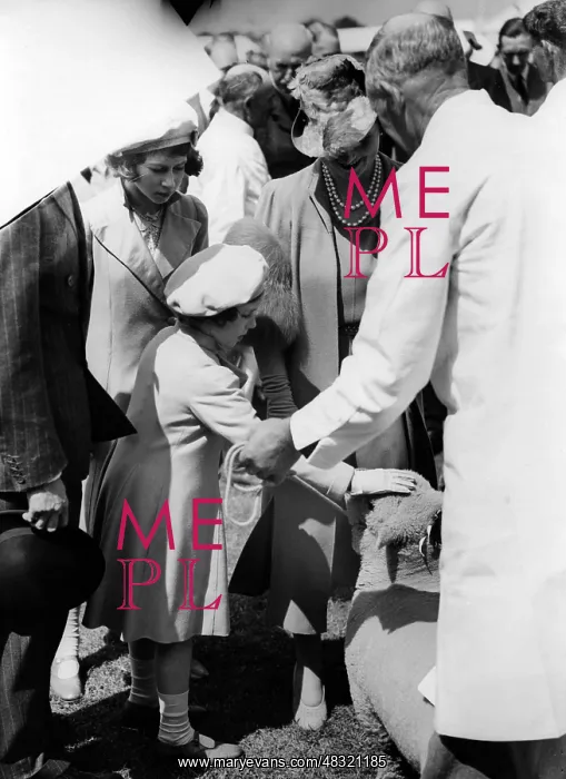 : Princess Margaret Rose stroking a sheep, 1939 : Princess Margaret Rose stroking a sheep, 1939