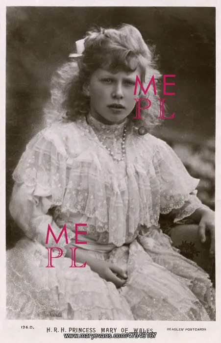 : Princess Mary of Wales : Princess Mary of Wales