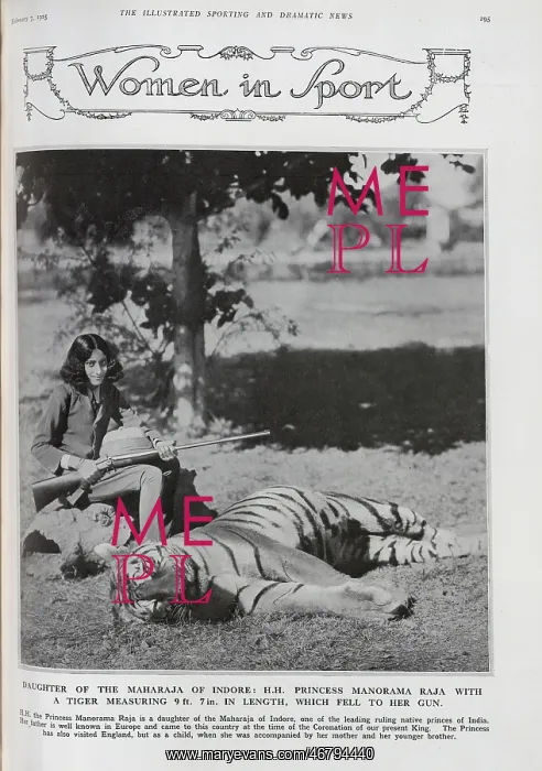 : The Princess and the Tiger : The Princess and the Tiger