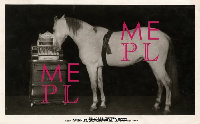 : Princess Trixie the Highly Educated Horse : Princess Trixie the Highly Educated Horse