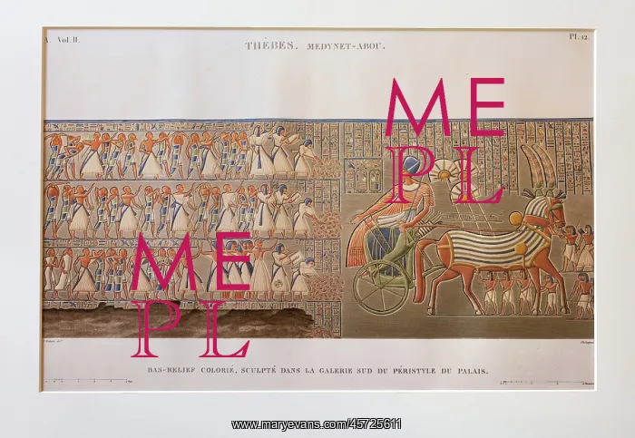 : Print, Description of Egypt, Bibliotheque du Senat : Print, Description of Egypt, Bibliotheque du Senat