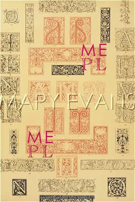 : PRINT EMBELLISHMENTS : PRINT EMBELLISHMENTS