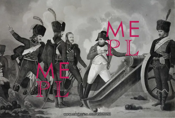: Print, Musee Napoleon, Brienne-le-Chateau, Aube, France : Print, Musee Napoleon, Brienne-le-Chateau, Aube, France