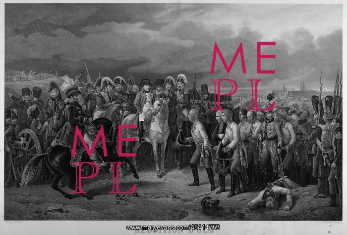 : Print, Musee Napoleon, Brienne-le-Chateau, Aube, France : Print, Musee Napoleon, Brienne-le-Chateau, Aube, France