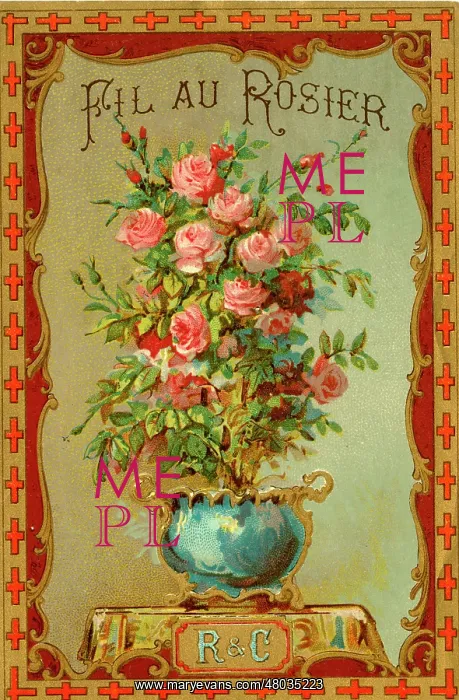 : Printer's Sample, Fil au Rosier : Printer's Sample, Fil au Rosier