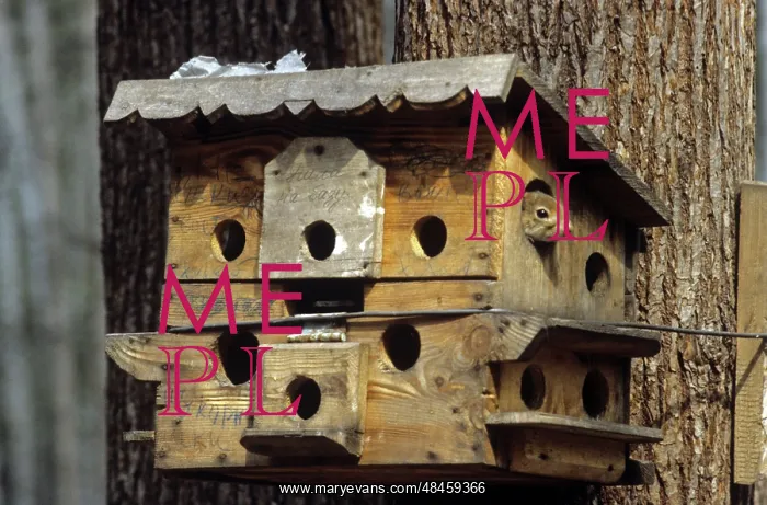 : Prioksko-Terrasny Nature Reserve, 1986 : Prioksko-Terrasny Nature Reserve, 1986