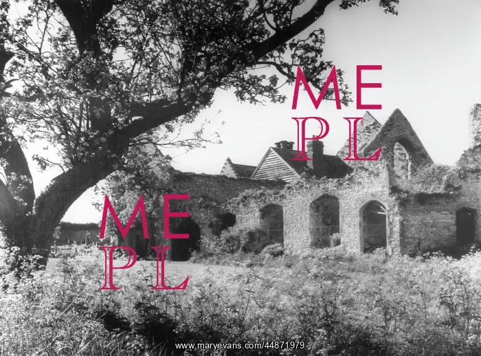  : PRIORY RUINS