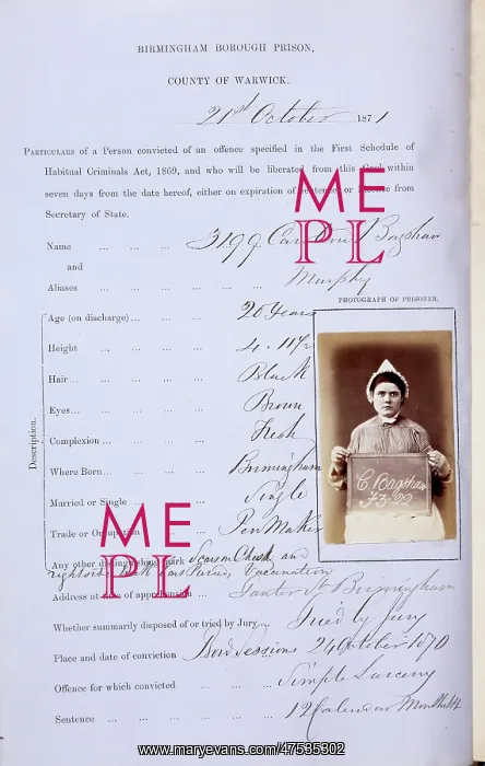 : Prisoner mug shot 1873 : Prisoner mug shot 1873