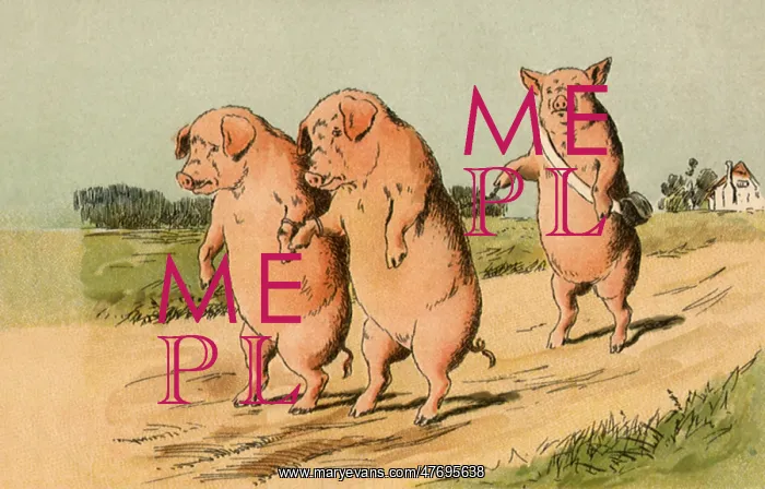  : Prisoner Pigs