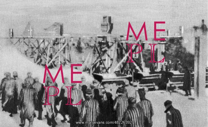 : Prisoners in the Auschwitz concentration camp : Prisoners in the Auschwitz concentration camp
