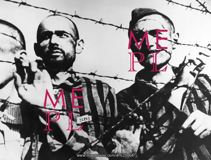 : Prisoners behind barbed wire in a concentration camp, WW2 : Prisoners behind barbed wire in a concentration camp, WW2