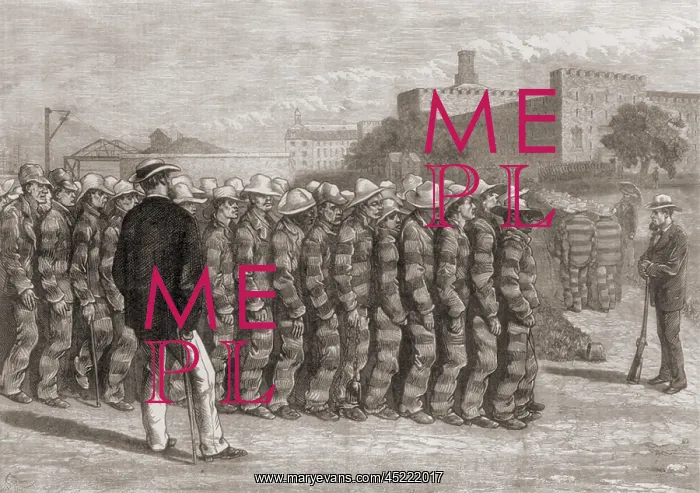 : Prisoners on Blackwell's Island : Prisoners on Blackwell's Island