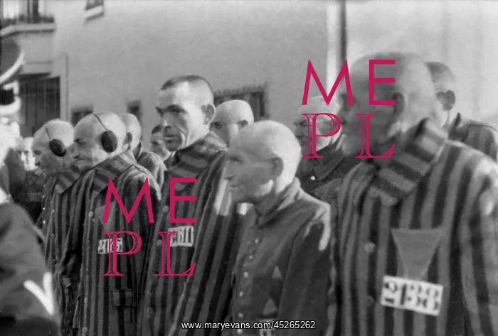 : Prisoners in the concentration camp at Sachsenhausen : Prisoners in the concentration camp at Sachsenhausen