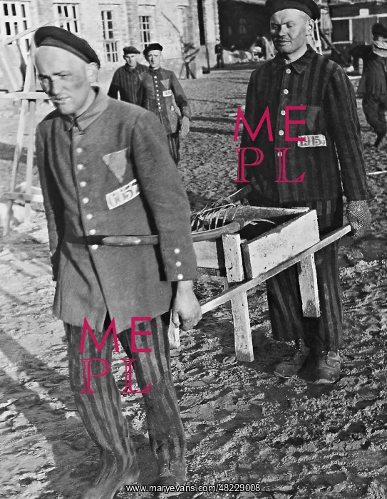 : Prisoners in the Sachsenhausen concentration camp : Prisoners in the Sachsenhausen concentration camp