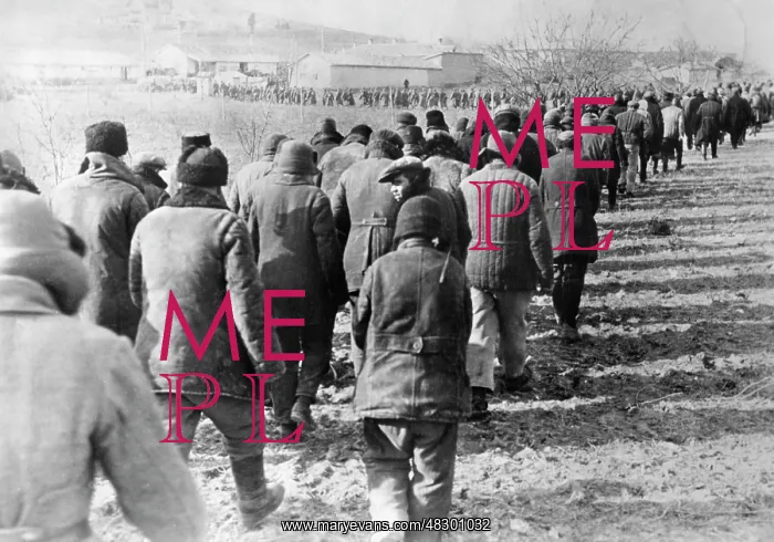 : Prisoners of war in the Crimea, 1942 : Prisoners of war in the Crimea, 1942