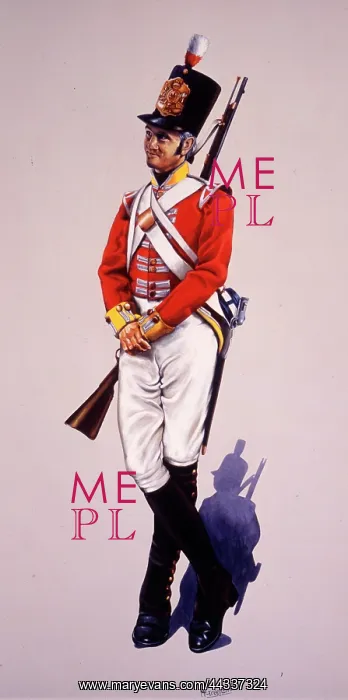 : Private - 83rd Regiment of Foot : Private - 83rd Regiment of Foot