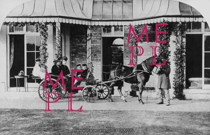 : A Private Horse-Drawn Carriage : A Private Horse-Drawn Carriage