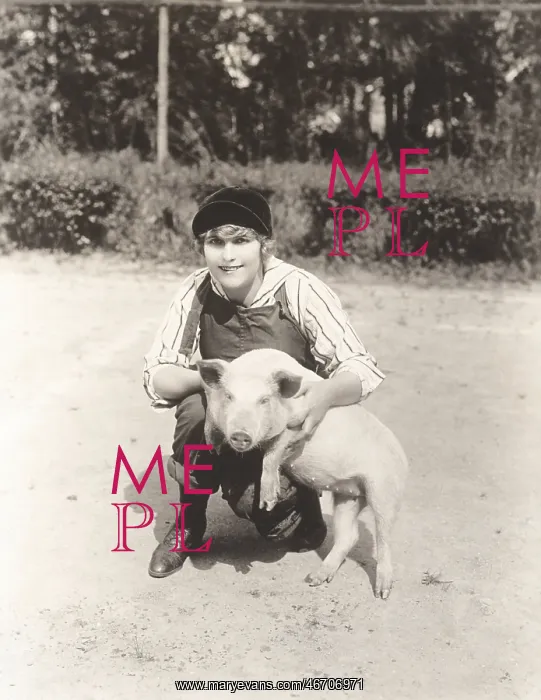  : Prize pig
