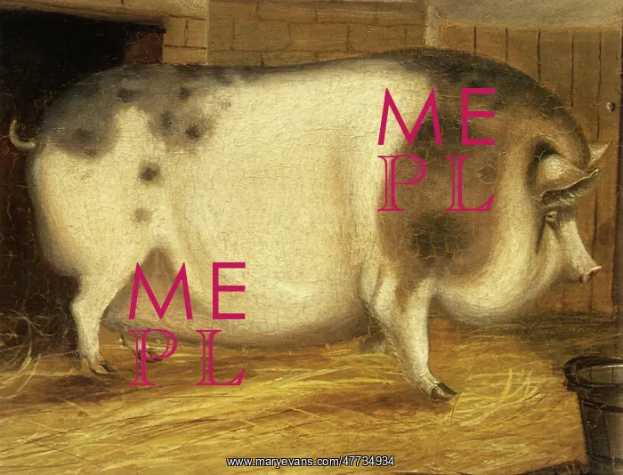 : Prize Sow Near a Sty : Prize Sow Near a Sty