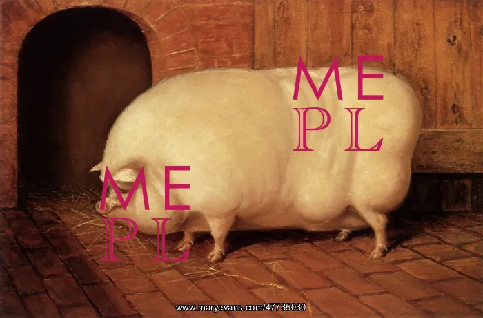  : Prize Sow Outside a Sty