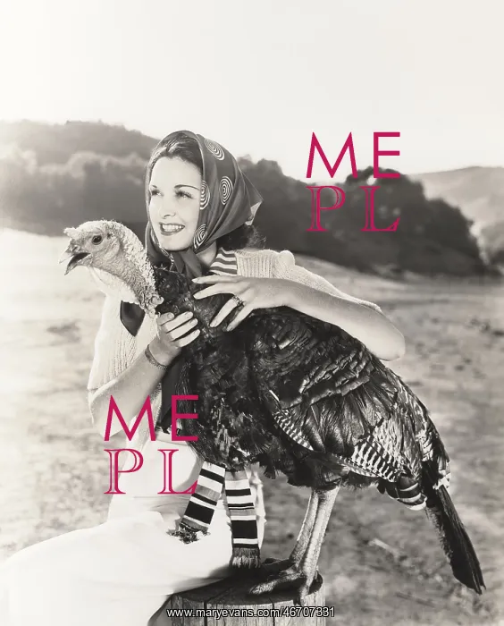 : Prize turkey : Prize turkey