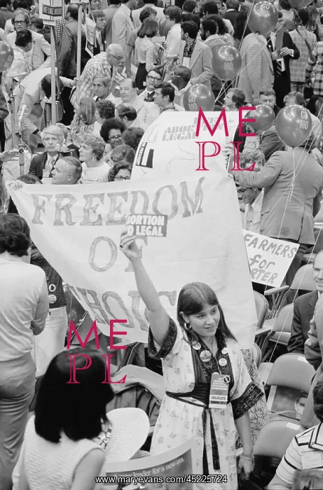 : Pro-choice Democrats protesting the anti-abortion ? : Pro-choice Democrats protesting the anti-abortion ?