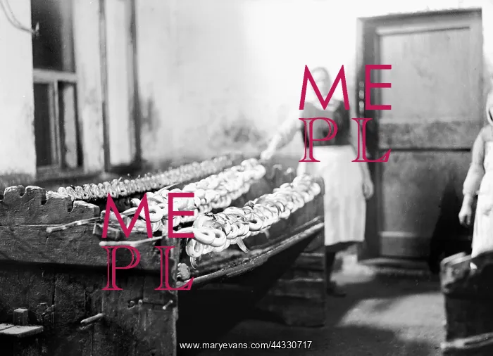 : Italy. Processing of eels in Comacchio : Italy. Processing of eels in Comacchio