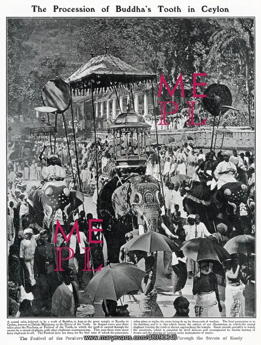 : Procession of Buddha's Tooth in Ceylon 1908 : Procession of Buddha's Tooth in Ceylon 1908