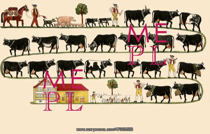  : Procession of cattle