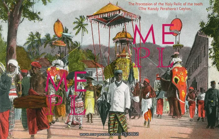 : Procession, Holy Relic of the Tooth, Ceylon (Sri Lanka) : Procession, Holy Relic of the Tooth, Ceylon (Sri Lanka)
