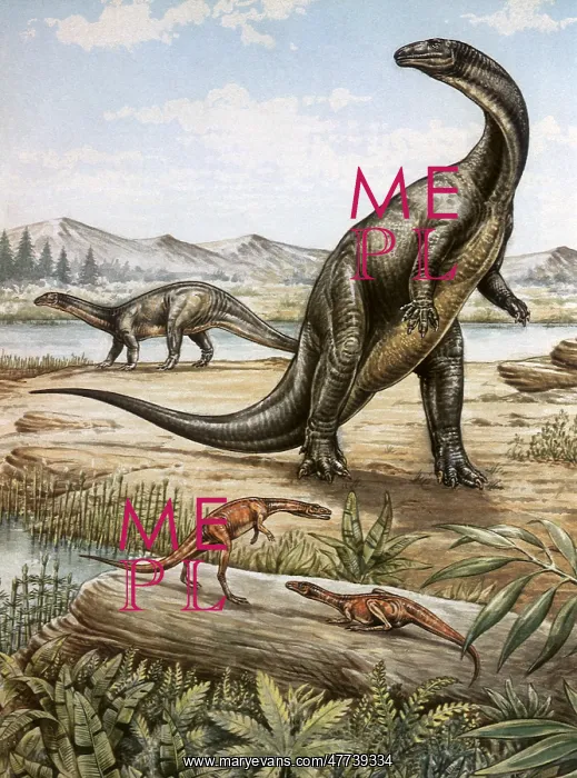  : Procompsognathus and Plateosaurus