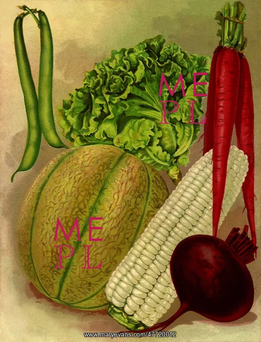  : Produce Assortment