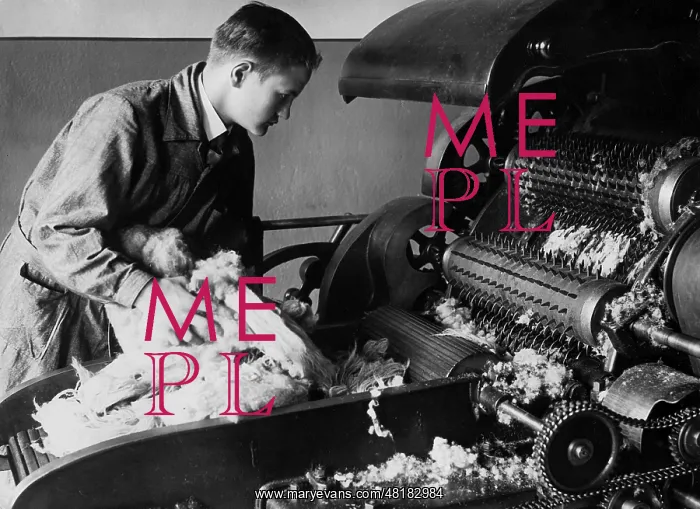 : Production of cotton, 1935 : Production of cotton, 1935