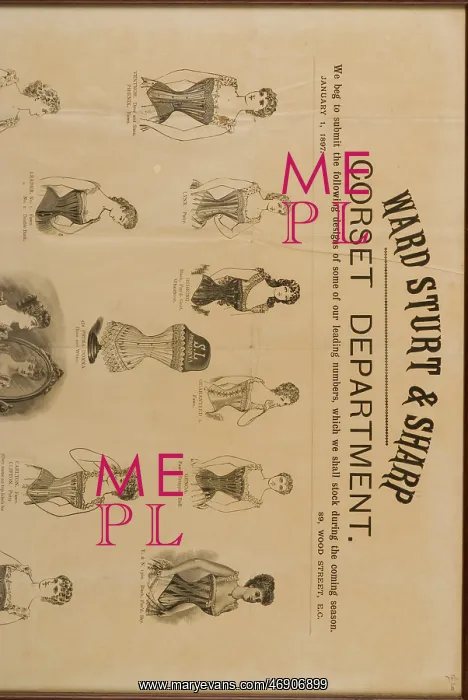  : Products - Ward Sturt and Sharpe