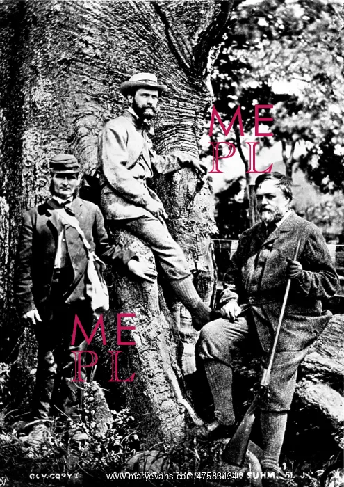 : Prof. Charles Wyville Thomson (right) and Dr. Rudolf von Wil : Prof. Charles Wyville Thomson (right) and Dr. Rudolf von Wil