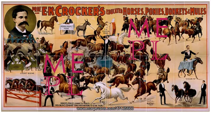 : Prof. EK Crocker's educated horses, ponies, donkeys & mules : Prof. EK Crocker's educated horses, ponies, donkeys & mules